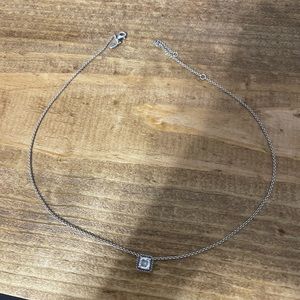 Pandora necklace